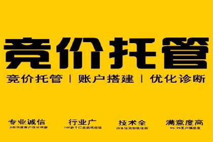 某大型平台开户返点效果评估报告